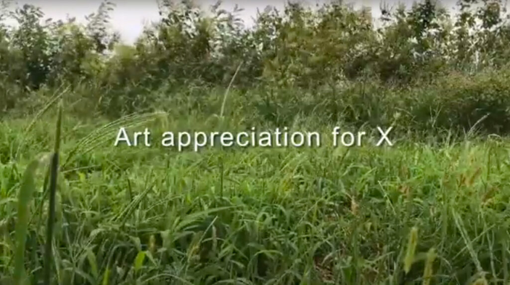 Art appreciation for X